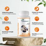 Za ohranjanje membran sluznice (brez zgage) in presnovo - Easy Digestion - slika 2