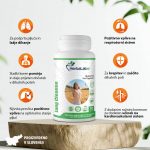 Za čiste dihalne poti - Lung cleanse - slika 2