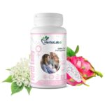 Za večjo plodnost pri ženskah - Fertil lady