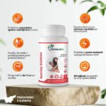 Za boljšo spolno moč - Rearing Stallion - 30 kapsul - slika 2